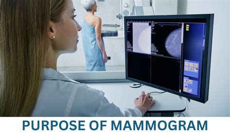 what is the purpose of mammography brainly|Mammography .